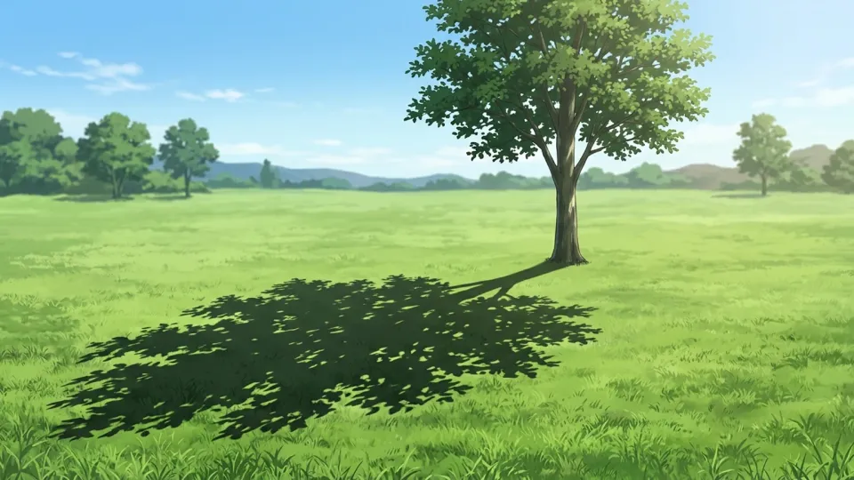 芝生の上に伸びる木の影